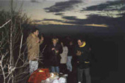 Abendstimmung in der Tundra